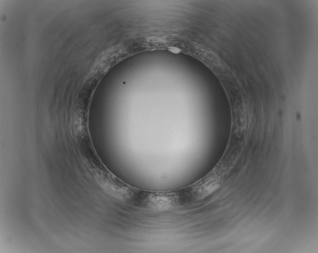 X0000069390706200605121211