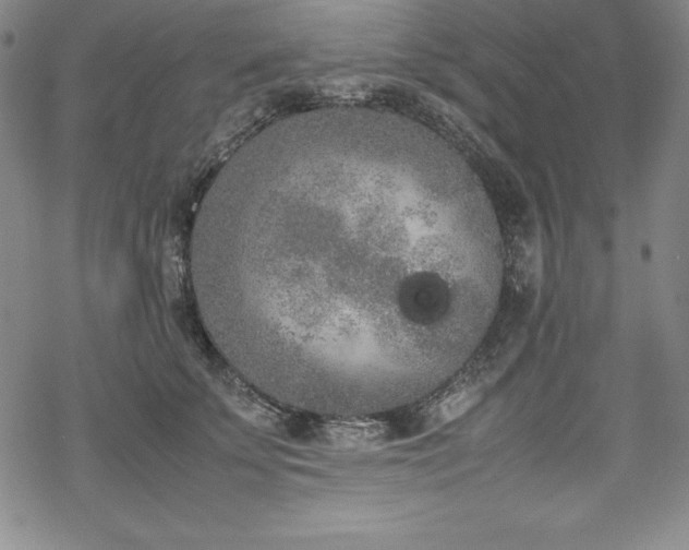 X0000069390707200605121211