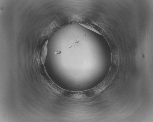 X0000069390708200605121211