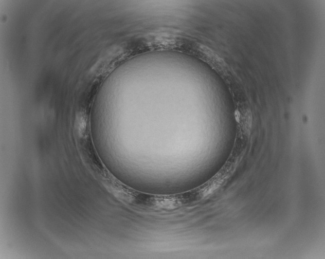 X0000069390709200605121211