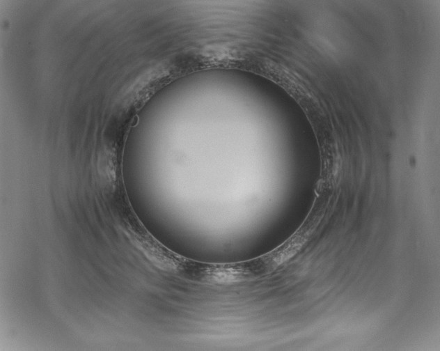 X0000069390710200605121211