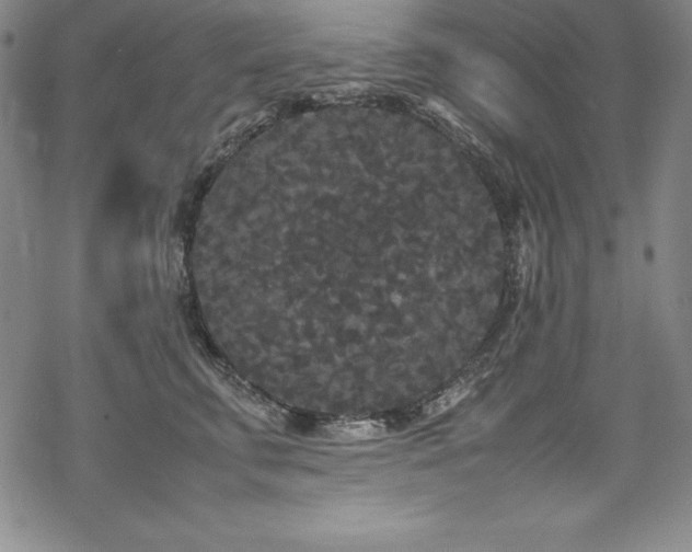 X0000069390711200605121211