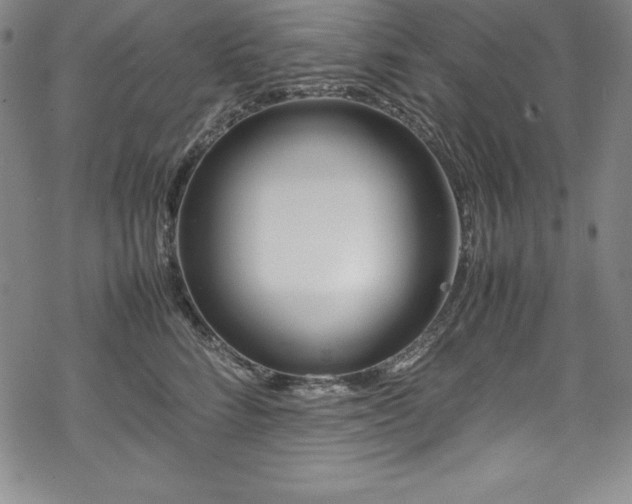 X0000069390712200605121211