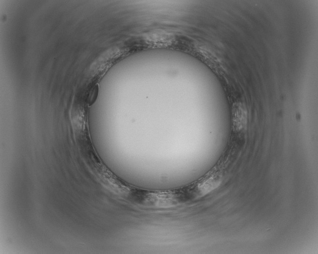 X0000069390713200605121211