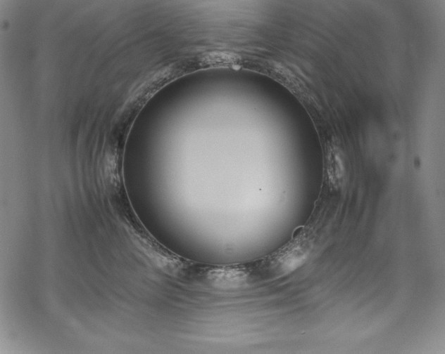 X0000069390714200605121211