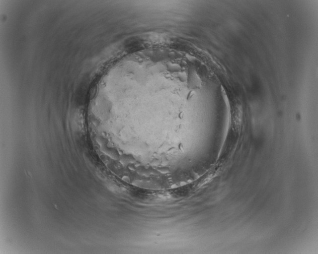 X0000069390715200605121211