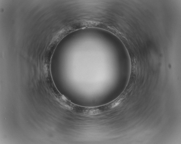 X0000069390716200605121211