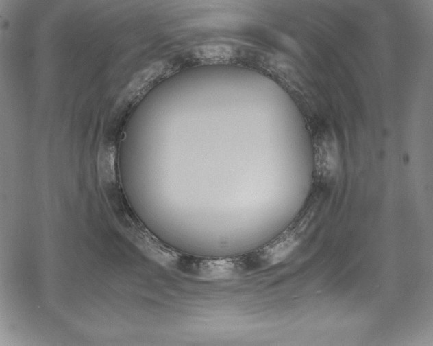 X0000069390717200605121211