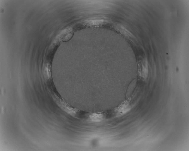 X0000069390718200605121211