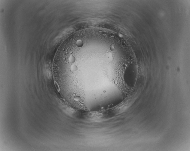 X0000069390719200605121211