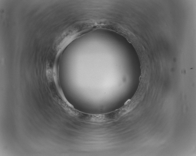 X0000069390720200605121211