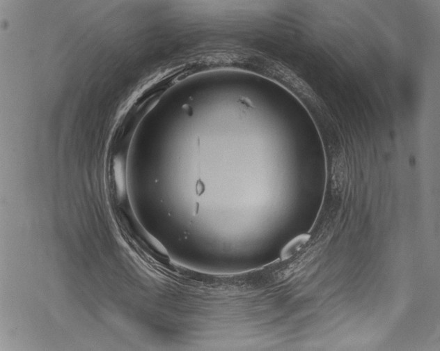 X0000069390722200605121210