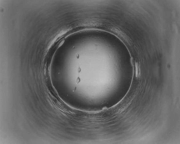 X0000069390723200605121210