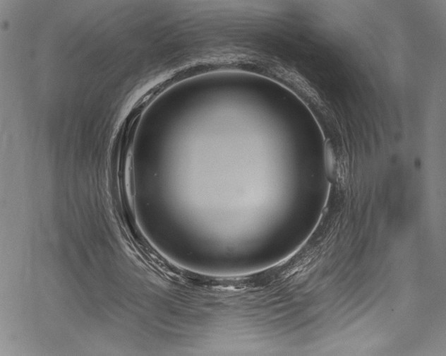 X0000069390724200605121210