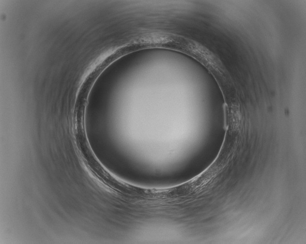 X0000069390726200605121210