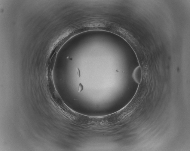 X0000069390727200605121210