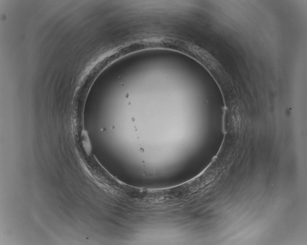 X0000069390728200605121210