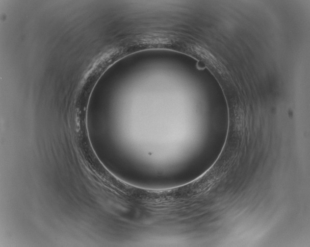 X0000069390731200605121210