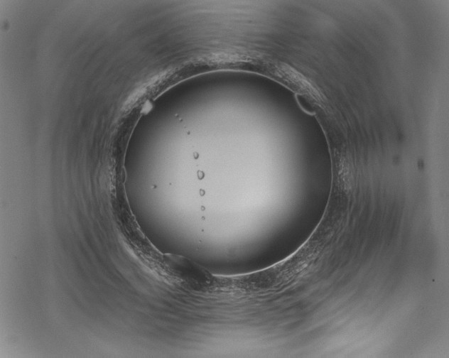 X0000069390732200605121210