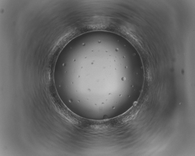 X0000069390733200605121210