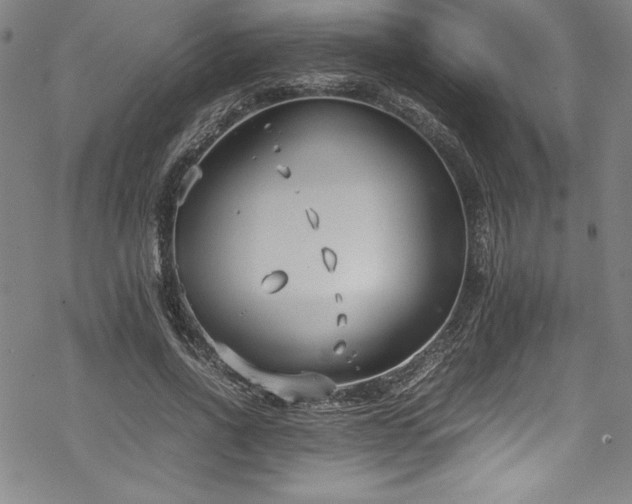 X0000069390734200605121210