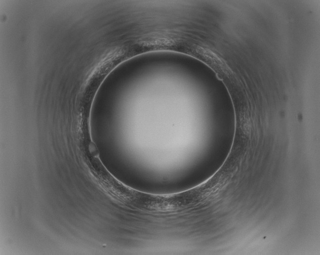 X0000069390735200605121210