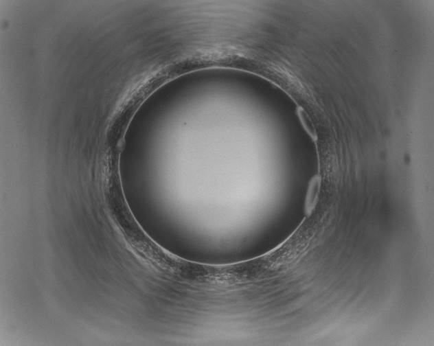 X0000069390736200605121210