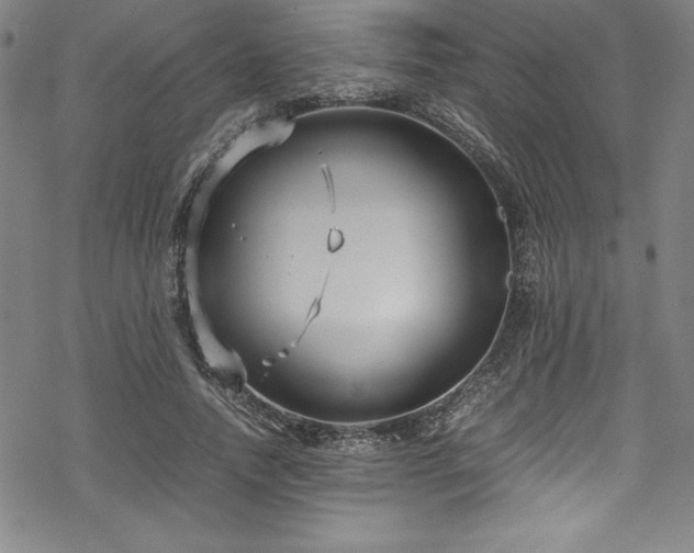 X0000069390738200605121210