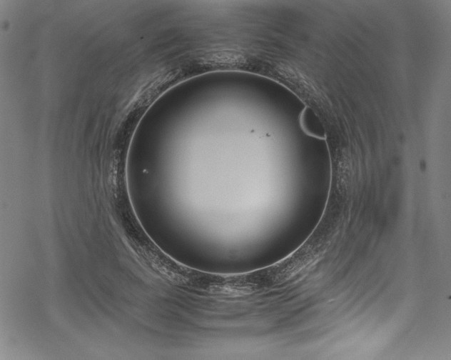 X0000069390739200605121210