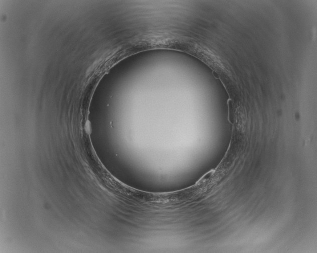 X0000069390740200605121210