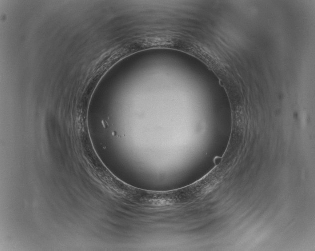 X0000069390741200605121210