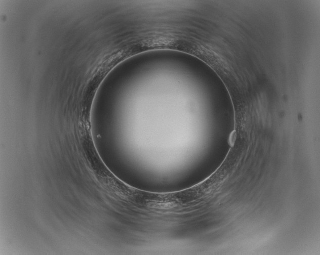 X0000069390743200605121210