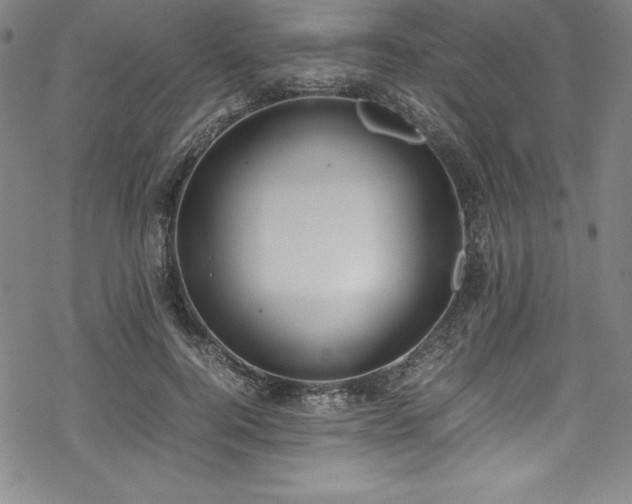 X0000069390744200605121211