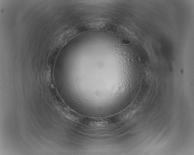 X0000069390745200605121211