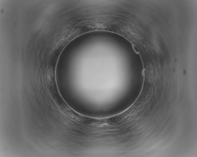 X0000069390747200605121211