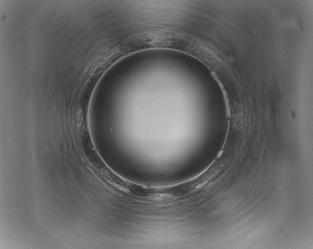 X0000069390748200605121211