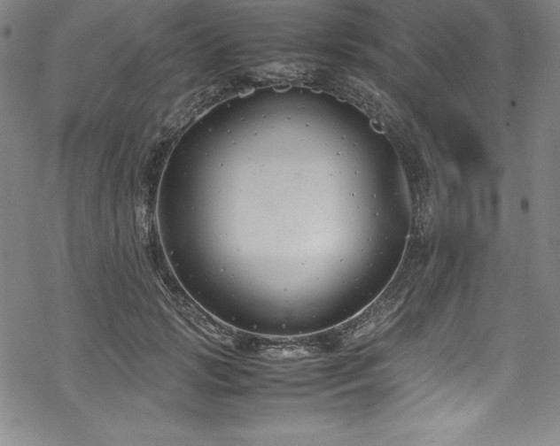 X0000069390749200605121211