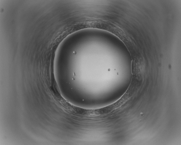 X0000069390750200605121211