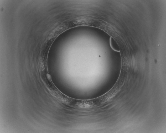 X0000069390751200605121211