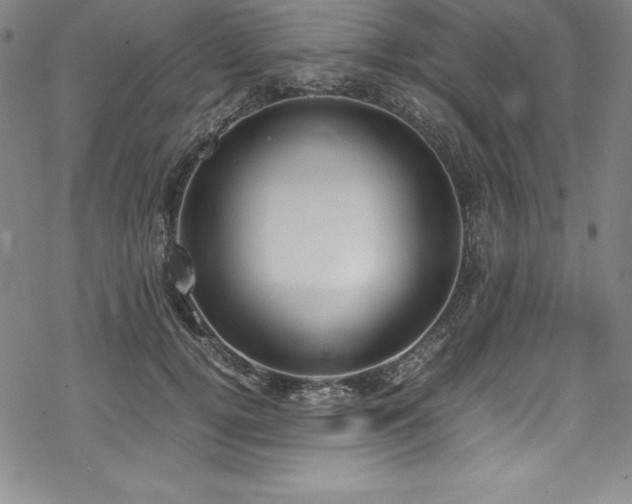 X0000069390752200605121211