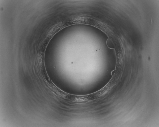 X0000069390753200605121211