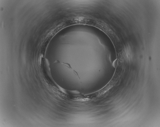 X0000069390754200605121211