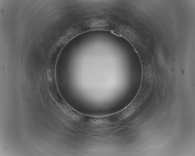 X0000069390755200605121211