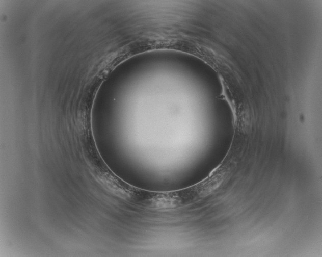 X0000069390756200605121211