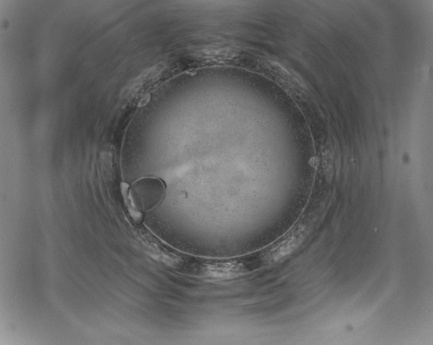 X0000069390757200605121211