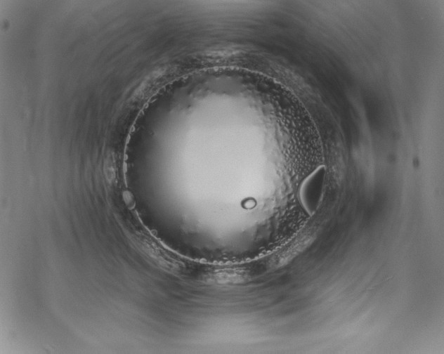 X0000069390758200605121211