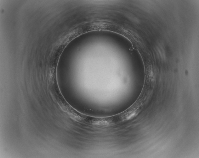 X0000069390759200605121211