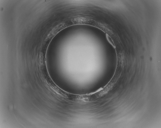 X0000069390760200605121211