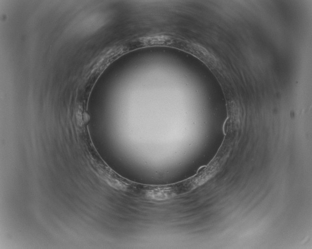 X0000069390761200605121211