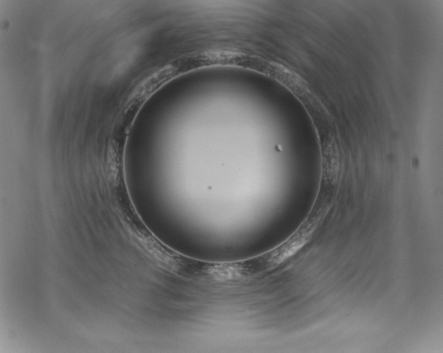 X0000069390762200605121211